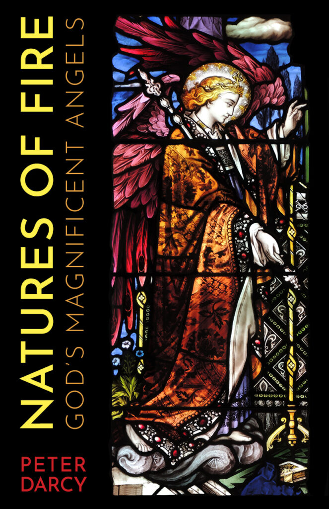 cover of natures of fire book about angels