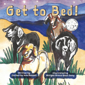 Book cover for Get to Bed!