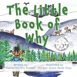 book cover for The Little Book of Why